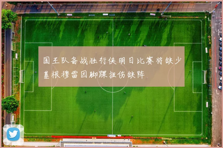 国王队备战独行侠明日比赛将缺少基根穆雷因脚踝扭伤缺阵