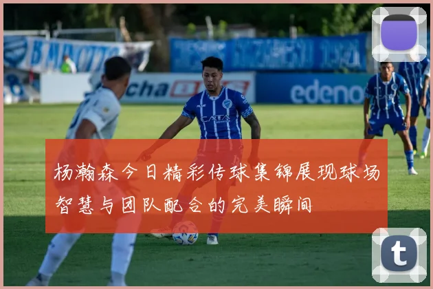 杨瀚森今日精彩传球集锦展现球场智慧与团队配合的完美瞬间