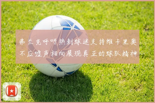 弗兰克呼吁热刺球迷支持维卡里奥不应嘘声相向展现真正的球队精神